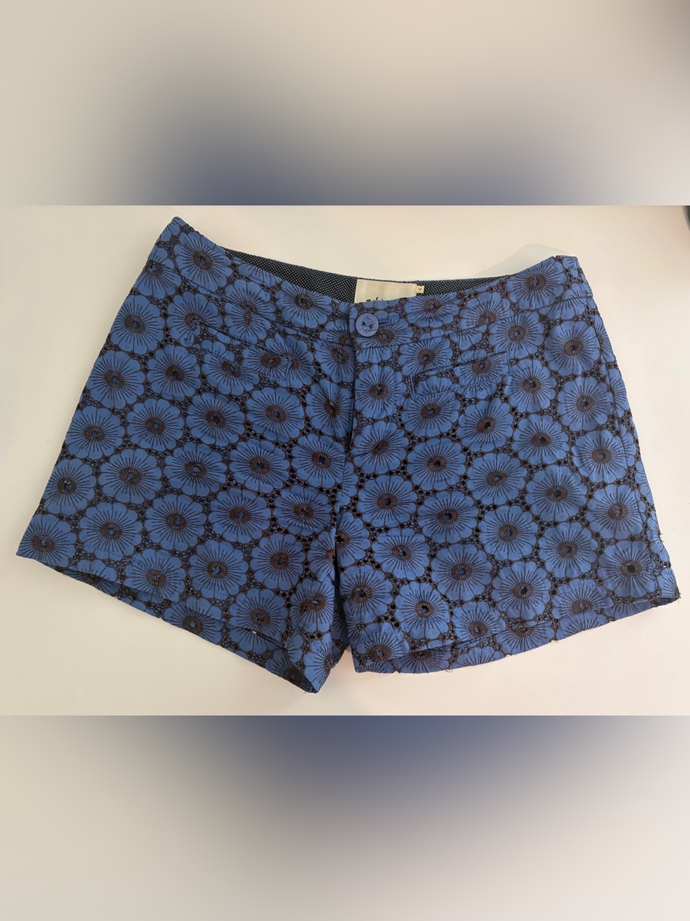 Elevenses Anthropologie Blue Floral Embroidered Shorts